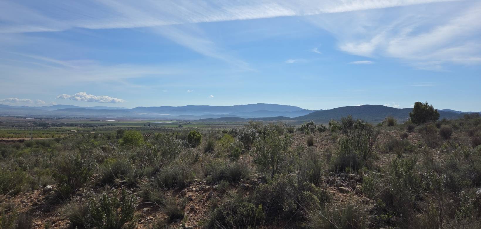 Resale - Land - Yecla