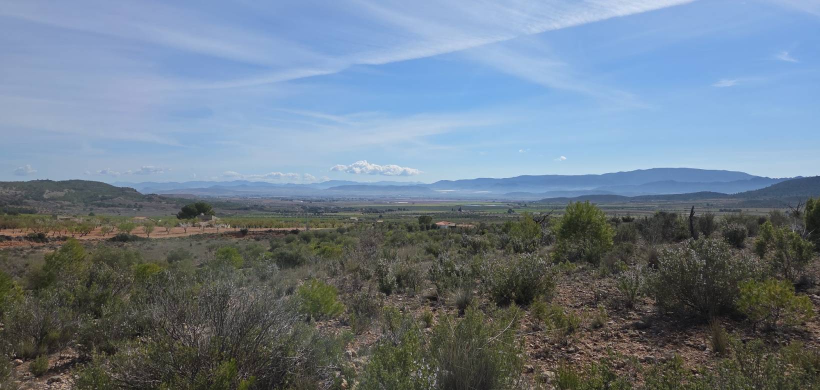 Resale - Land - Yecla