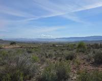 Resale - Land - Yecla