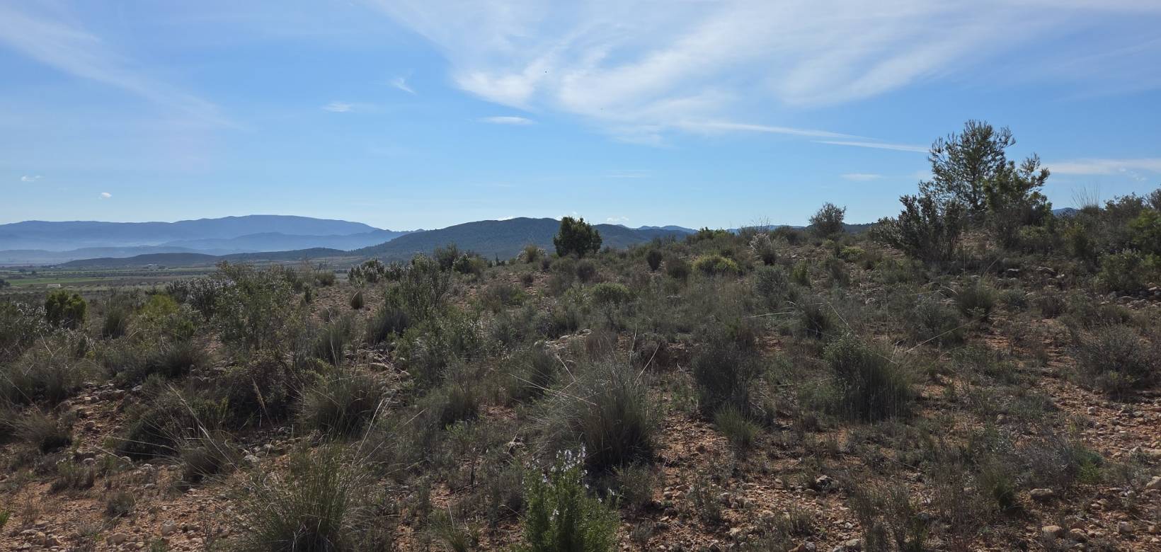 Resale - Land - Yecla