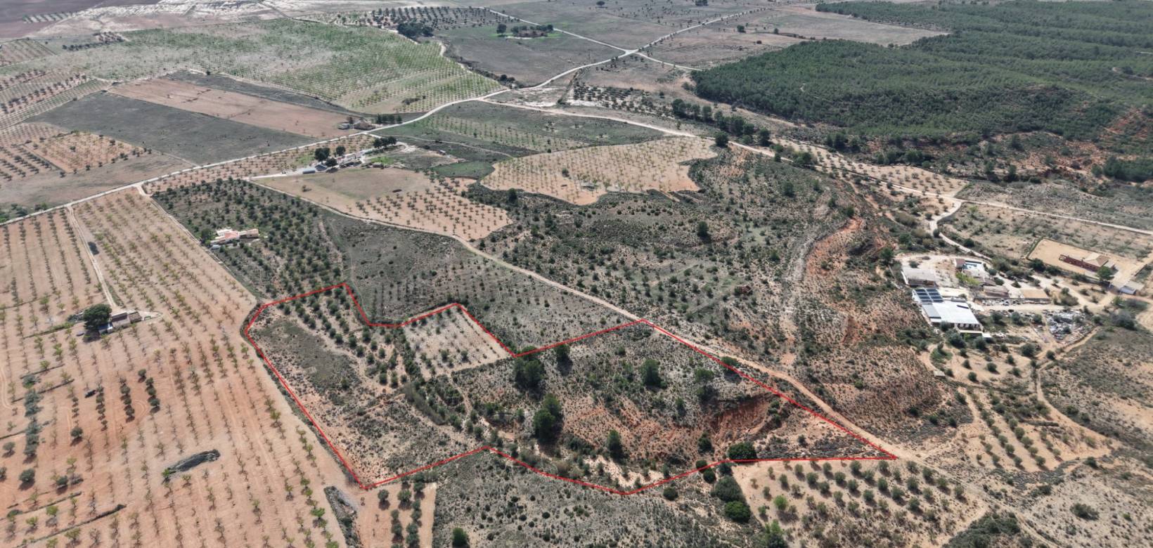 Resale - Land - Yecla