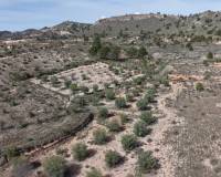 Resale - Land - Yecla