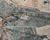 Resale - Land - Yecla
