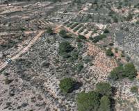 Resale - Land - Yecla