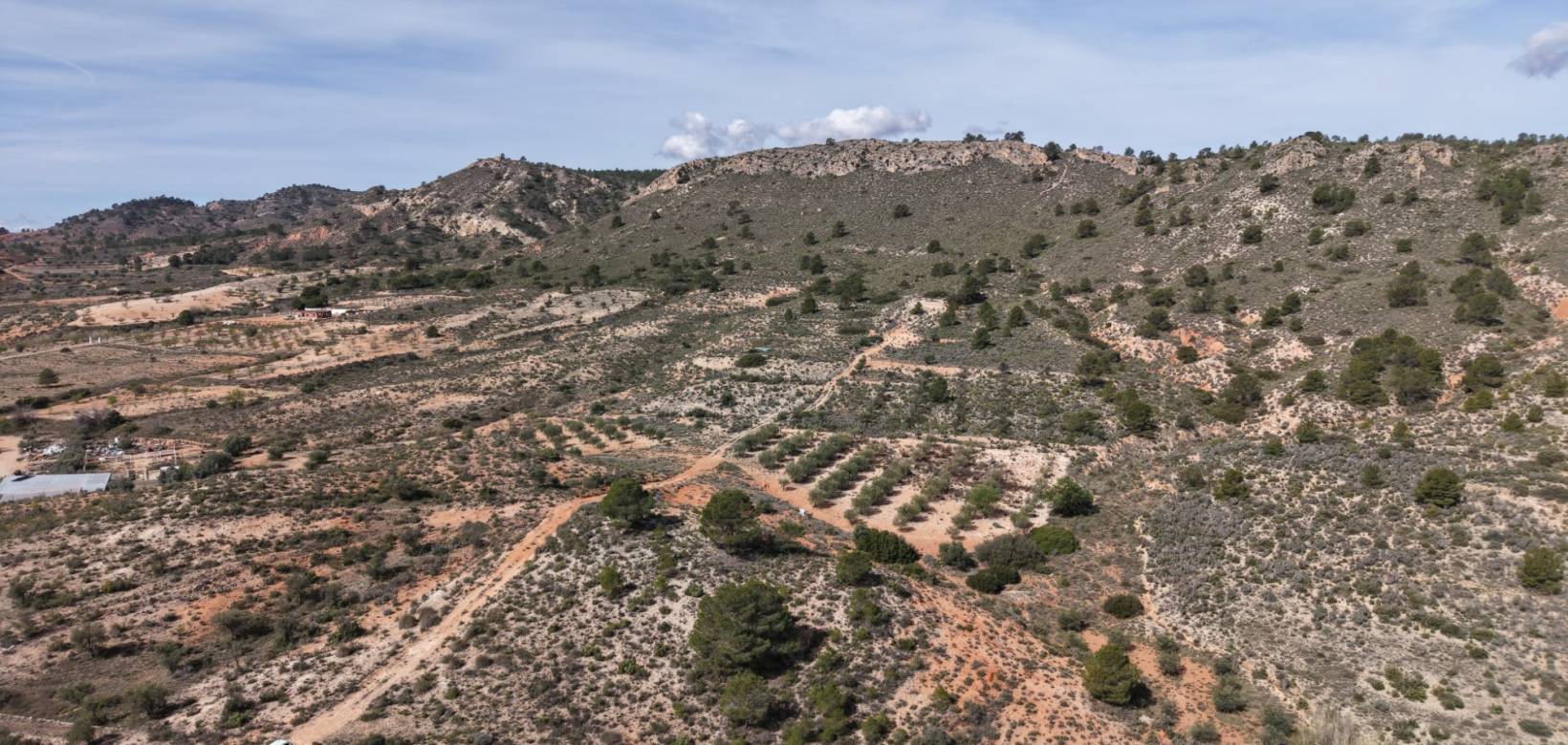 Resale - Land - Yecla