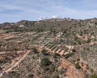 Resale - Land - Yecla