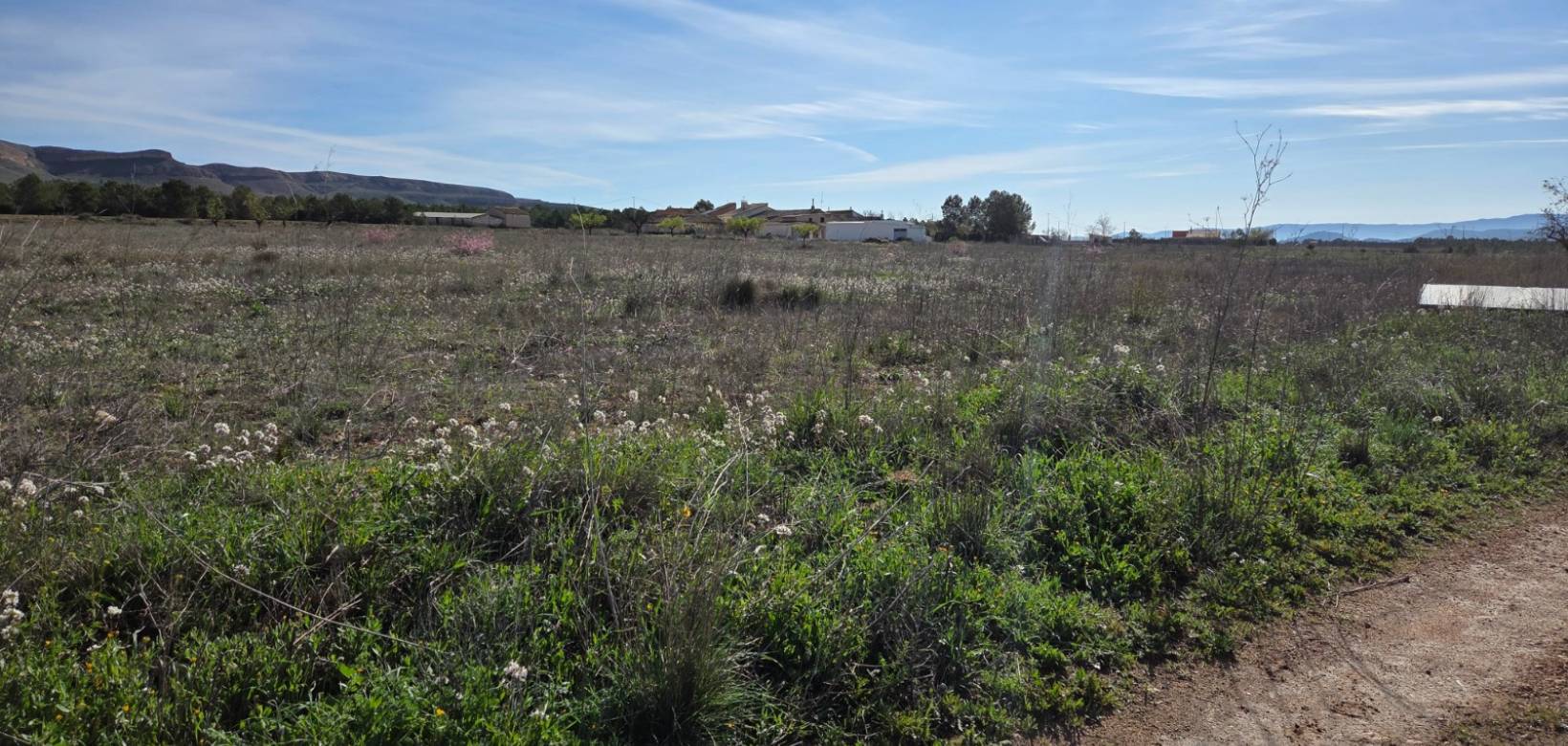 Resale - Land - Yecla