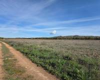 Resale - Land - Yecla