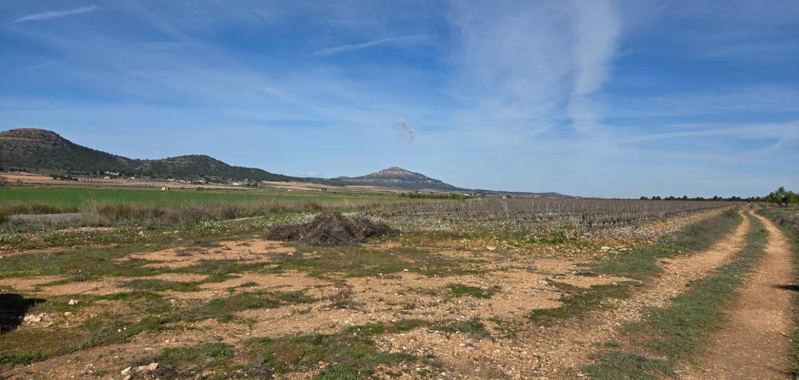 Resale - Land - Yecla