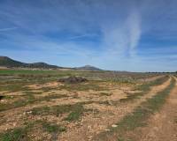 Resale - Land - Yecla