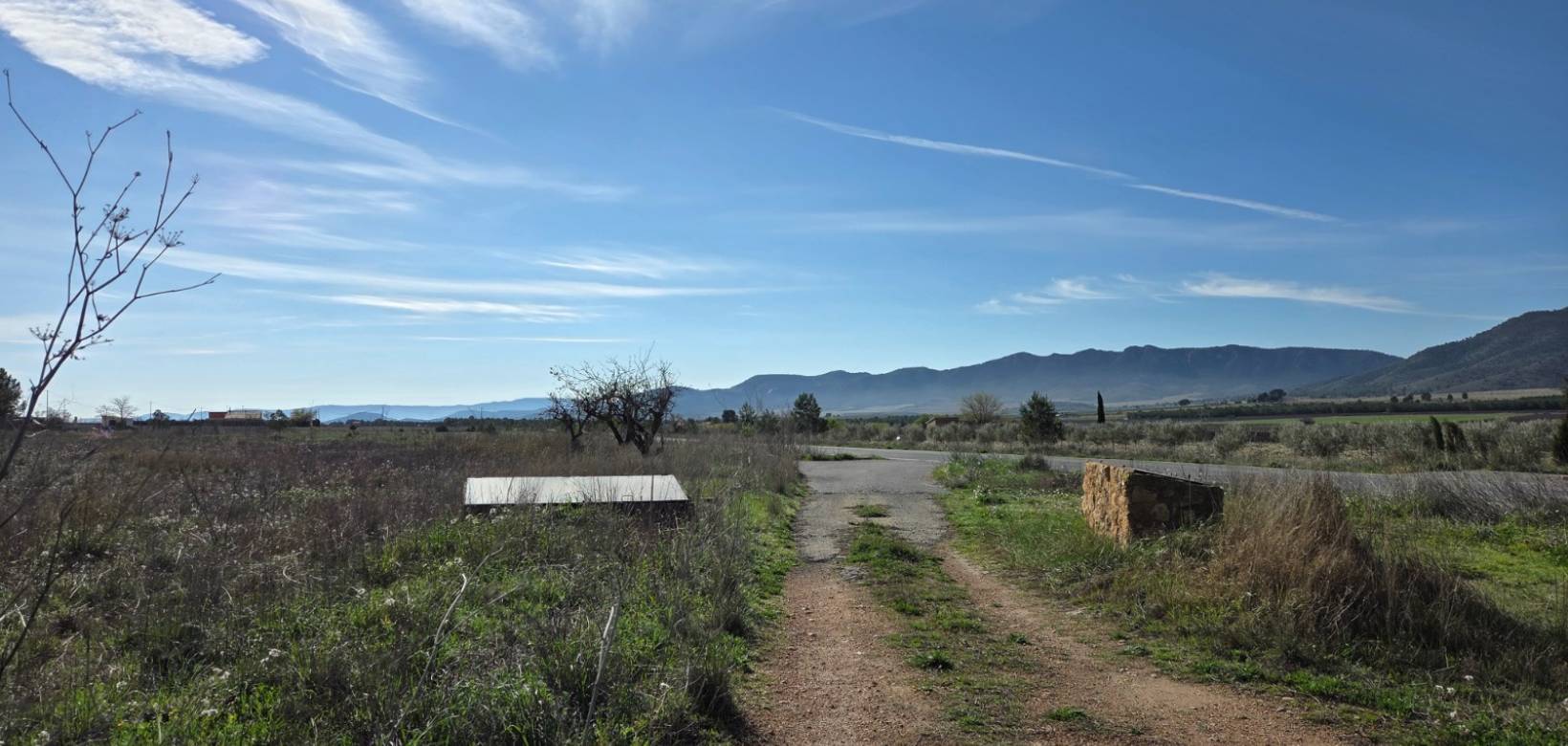 Resale - Land - Yecla