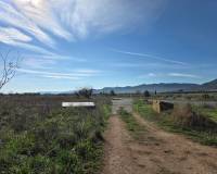 Resale - Land - Yecla