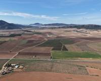 Resale - Land - Yecla