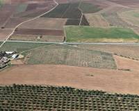 Resale - Land - Yecla