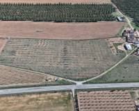 Resale - Land - Yecla