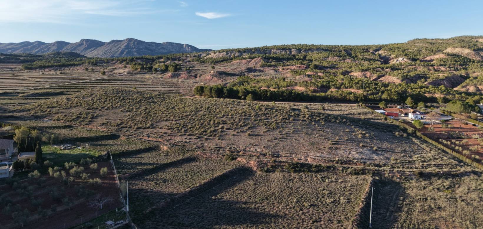 Resale - Land - Yecla