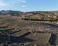 Resale - Land - Yecla