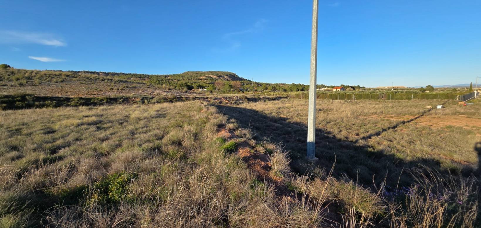 Resale - Land - Yecla