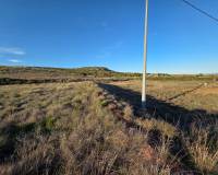 Resale - Land - Yecla