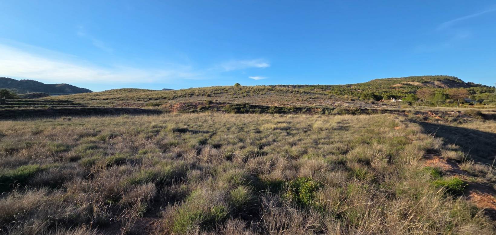 Resale - Land - Yecla