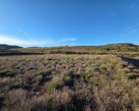 Resale - Land - Yecla
