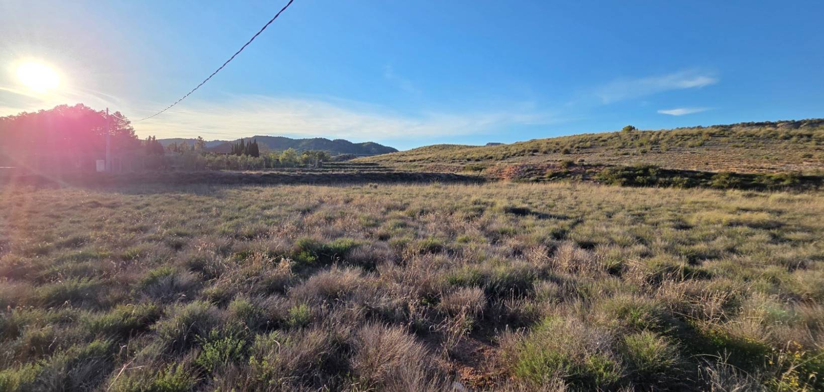 Resale - Land - Yecla