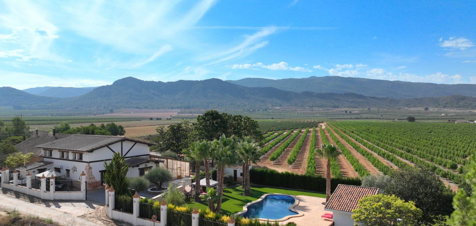 Resale - Landhuis - Pinoso