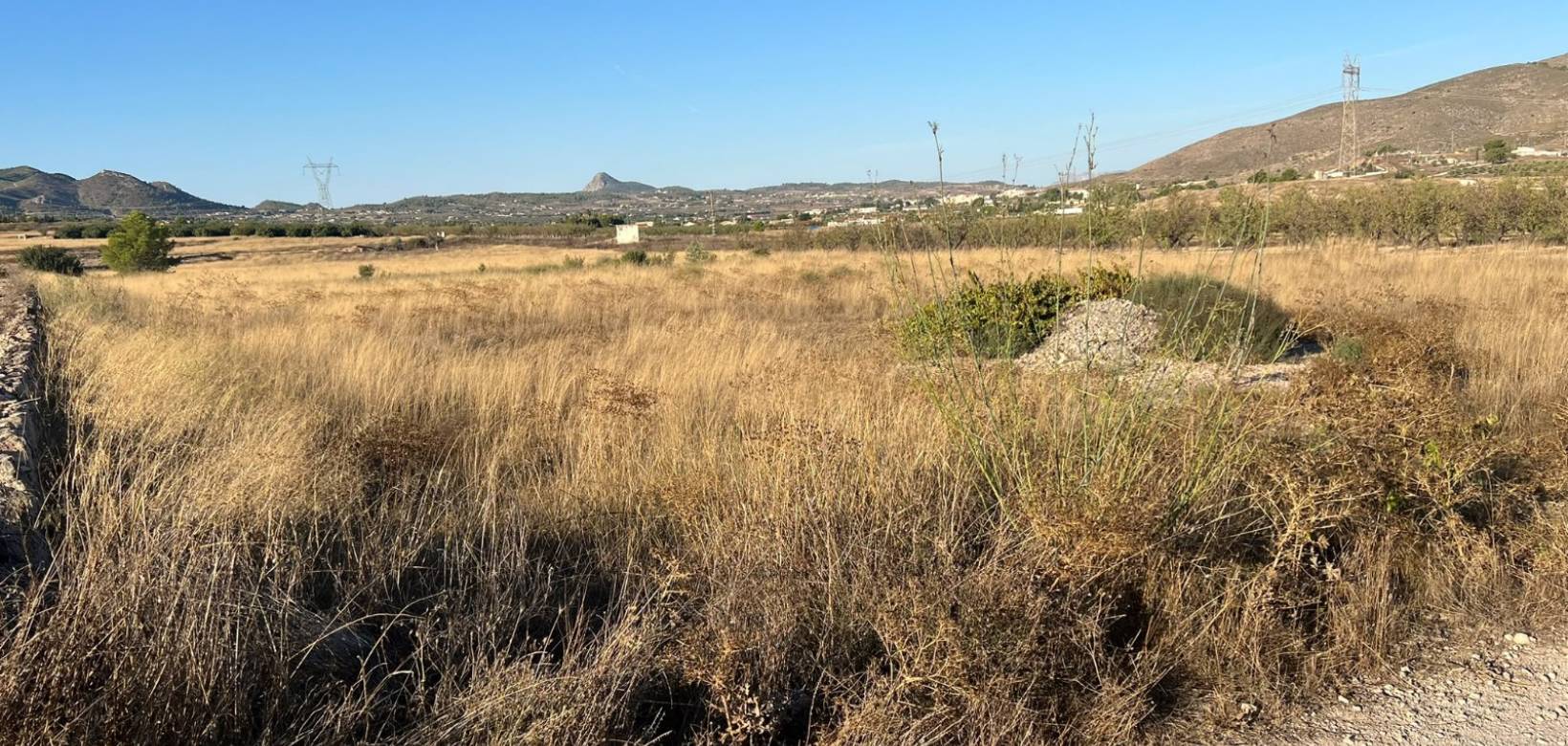 Resale - Plot - Hondón de las Nieves