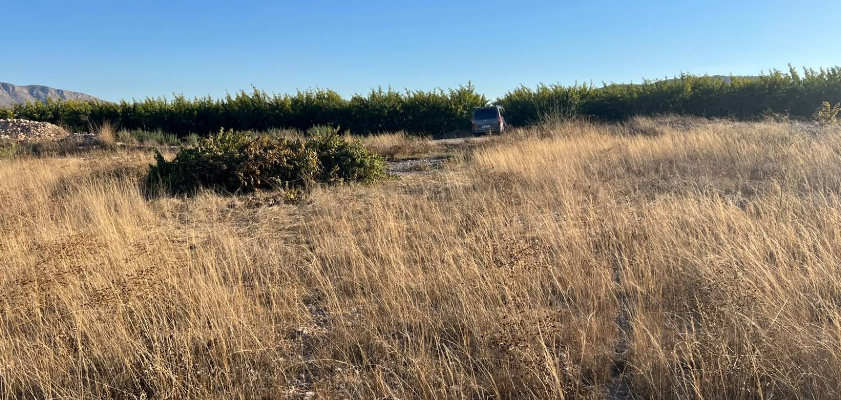 Resale - Plot - Hondón de las Nieves