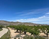 Resale - Plot / Land - Hondón de los Frailes