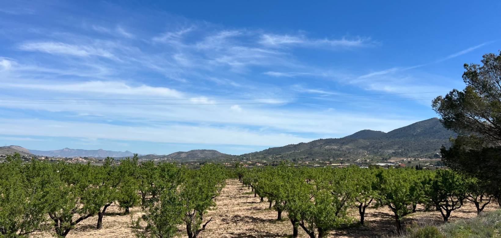 Resale - Plot / Land - Hondón de los Frailes