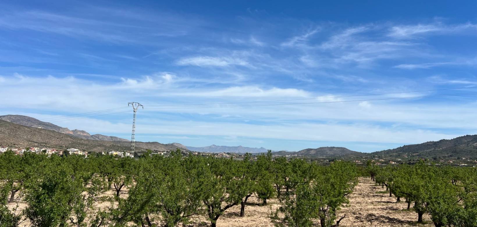 Resale - Plot / Land - Hondón de los Frailes