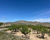 Resale - Plot / Land - Hondón de los Frailes