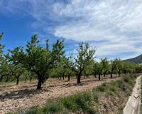 Resale - Plot / Land - Hondón de los Frailes