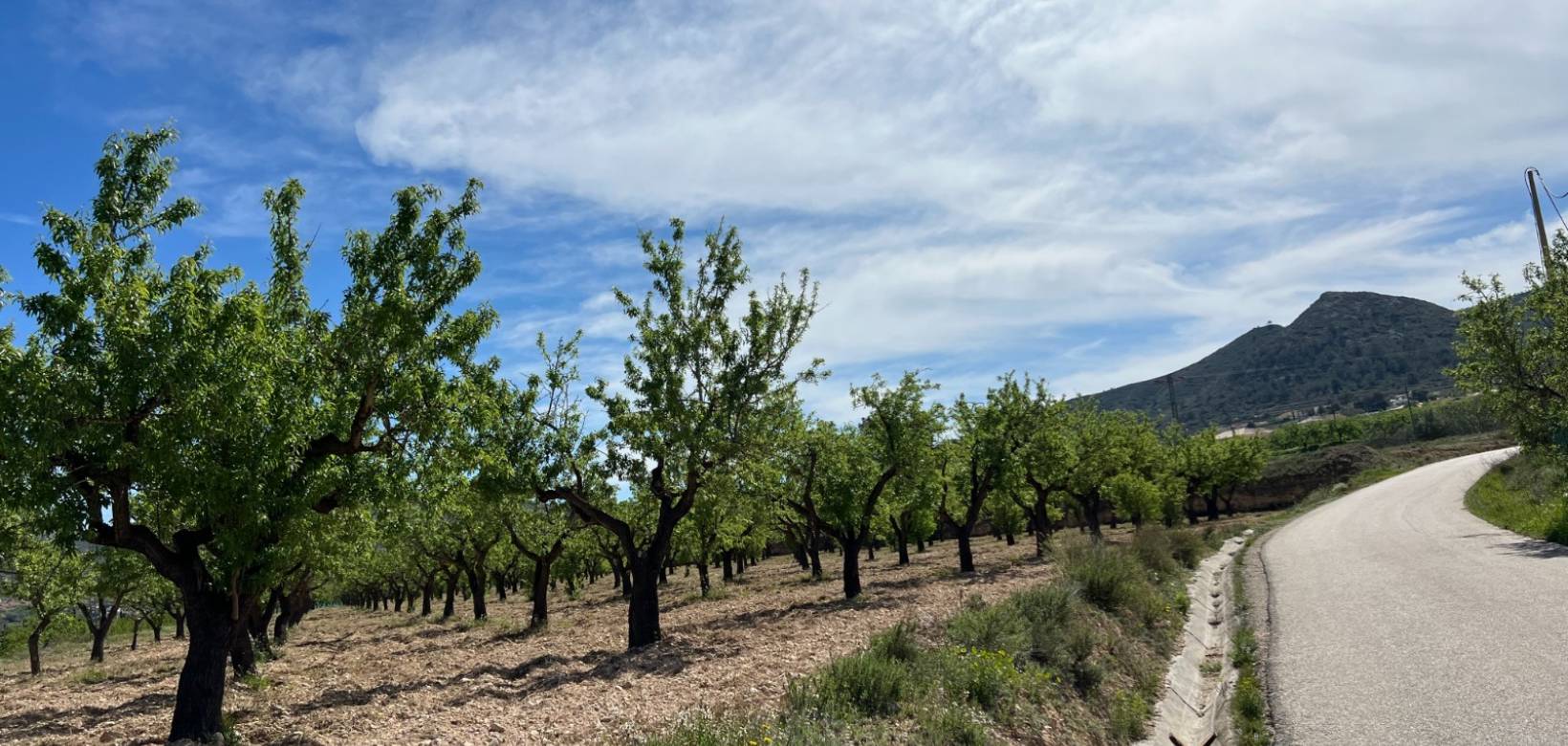 Resale - Plot / Land - Hondón de los Frailes