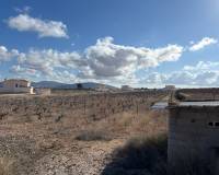 Resale - Plot / Land - Pinoso - el Pinós / Pinoso