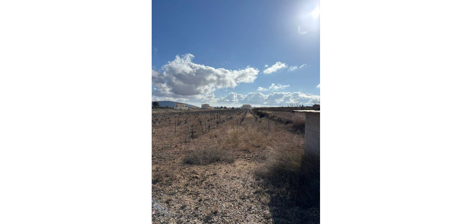 Resale - Plot / Land - Pinoso - el Pinós / Pinoso