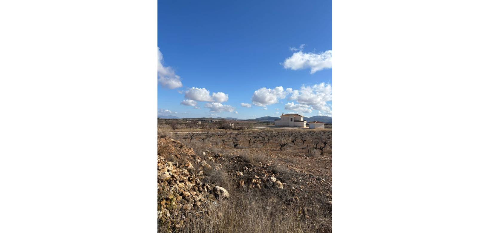 Resale - Plot / Land - Pinoso - el Pinós / Pinoso