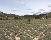 Resale - Plot / Land - Salinas