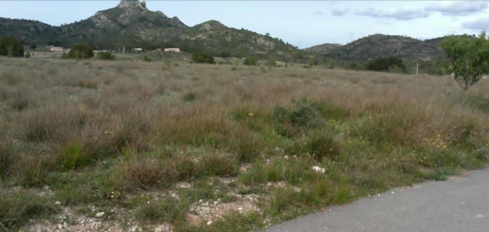 Resale - Plot / Land - Salinas