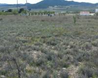 Resale - Plot / Land - Salinas