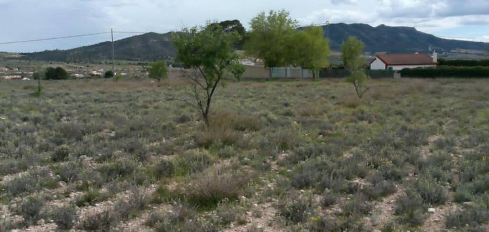 Resale - Plot / Land - Salinas