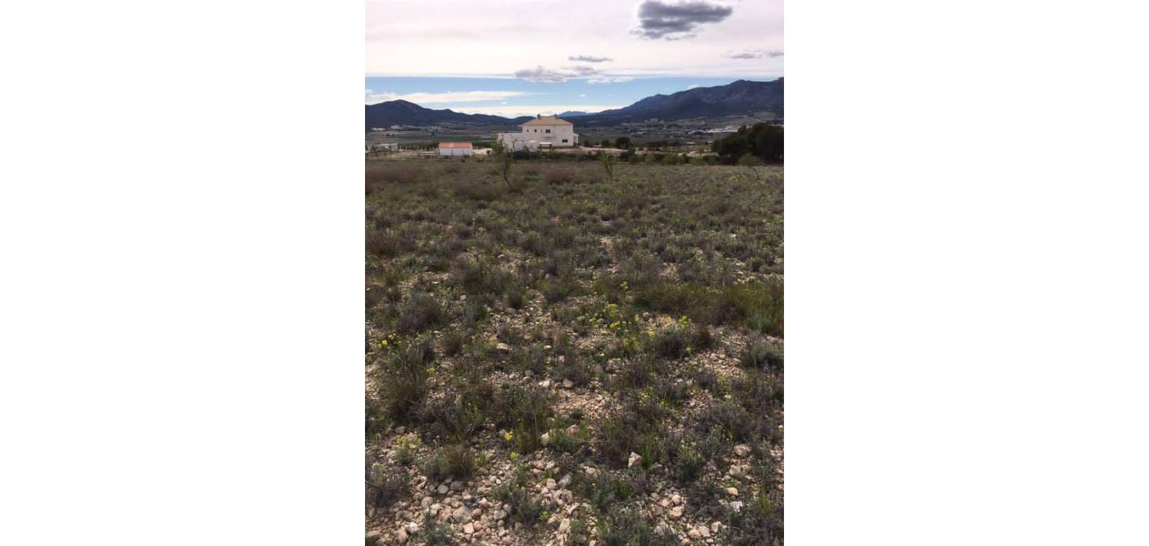 Resale - Plot / Land - Salinas