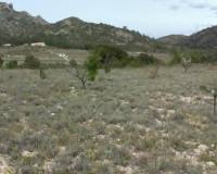 Resale - Plot / Land - Salinas