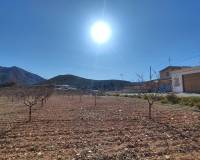 Resale - Semi Detached Villa - Algueña