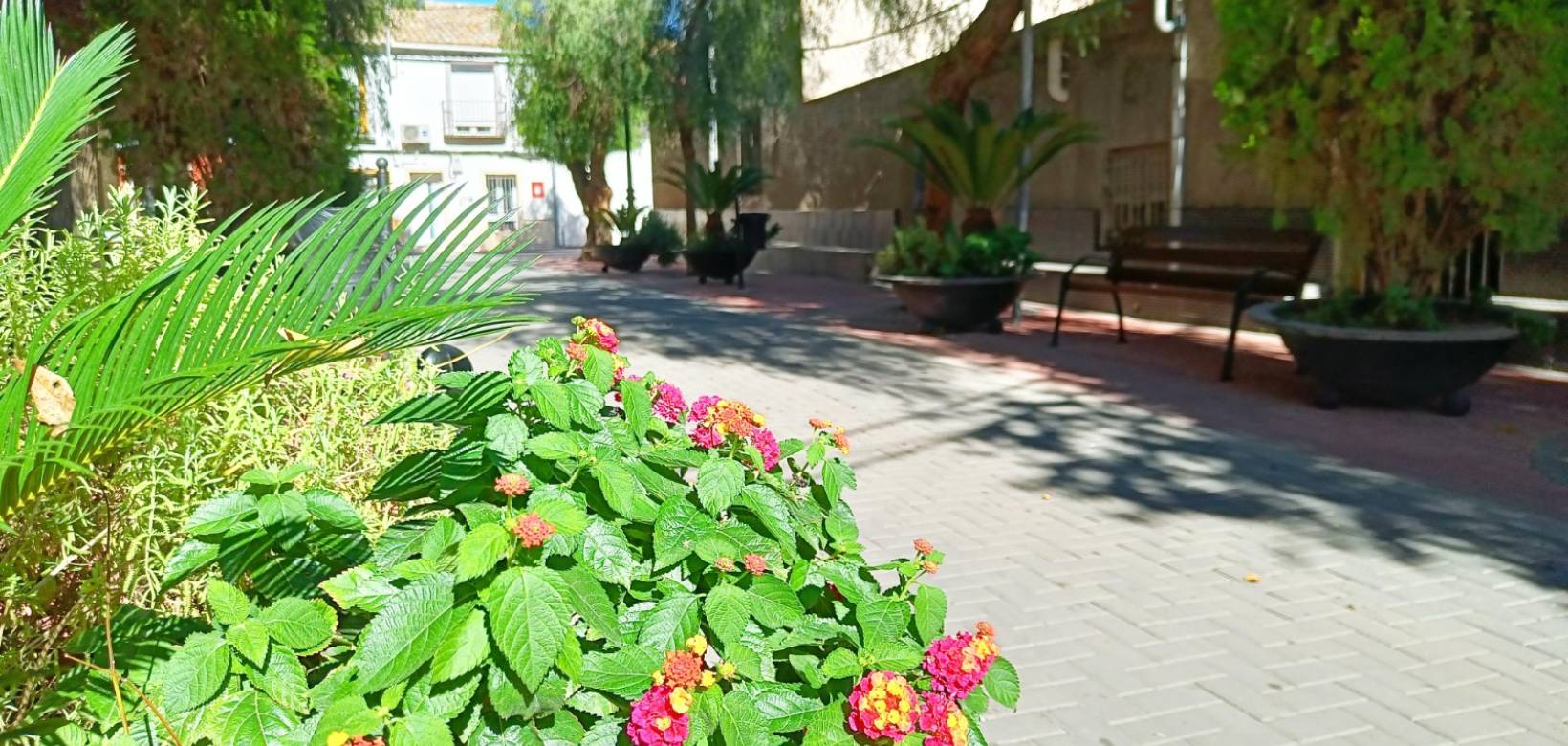 Resale - Town house - Hondón de los Frailes