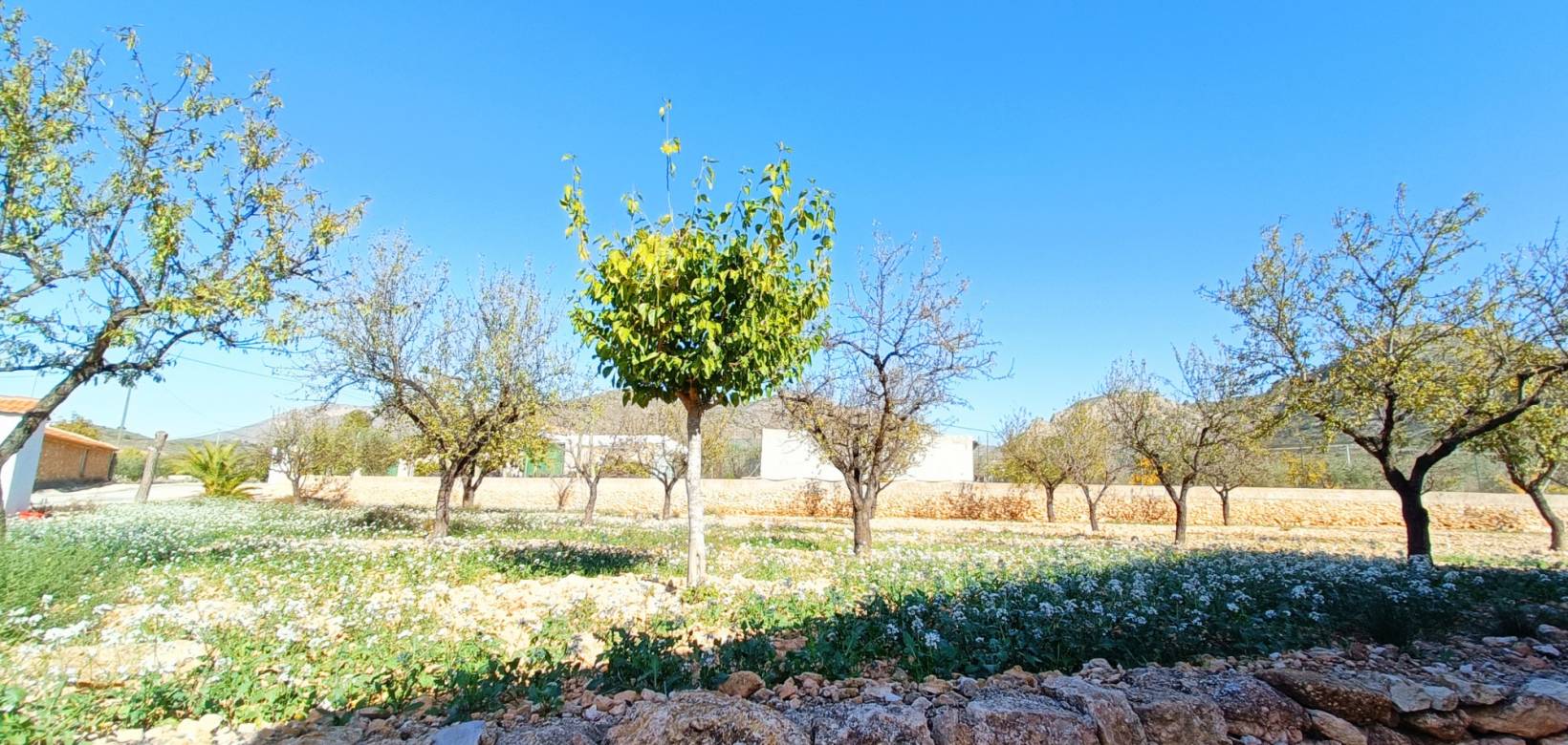 Resale - Town house - Hondón de los Frailes