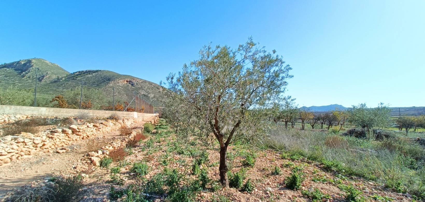 Resale - Town house - Hondón de los Frailes