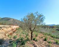 Resale - Town house - Hondón de los Frailes