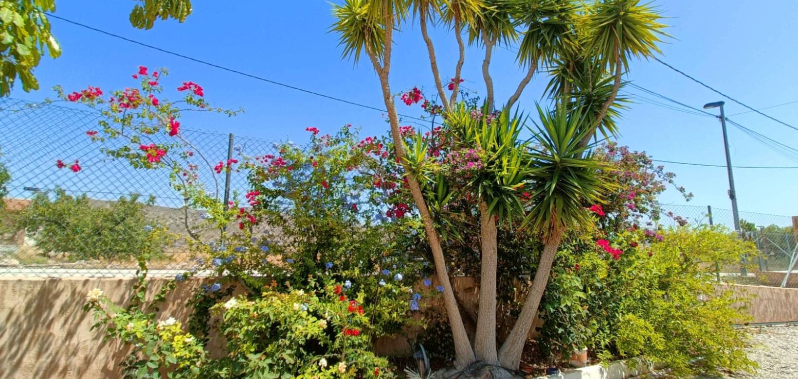 Resale - Villa - Abanilla